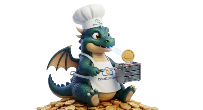 Blaze — your FinOps assistant